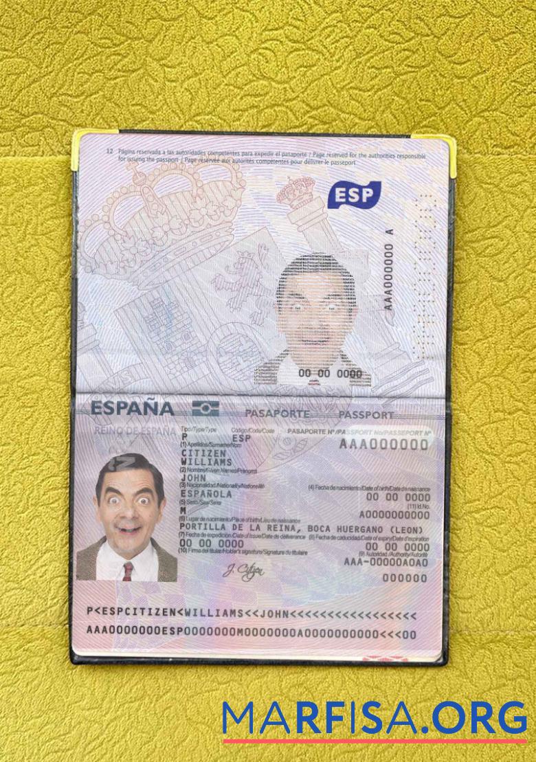 Realistic Spain passport from 2015 photo look example